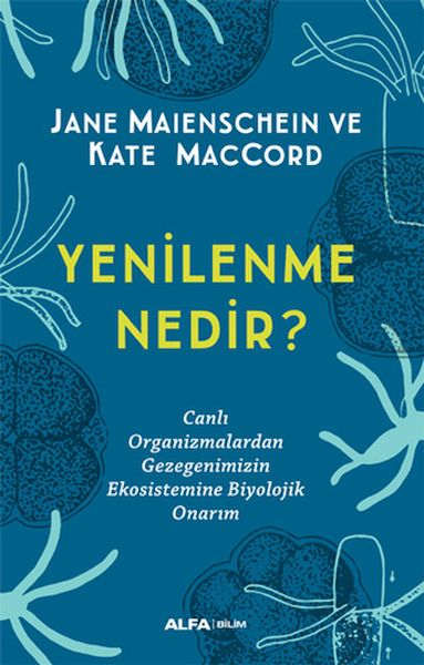 yenilenme-nedir