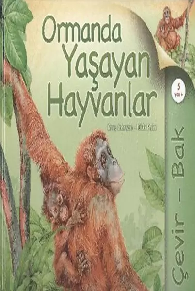 cevir-bak-ormanda-yasayan-hayvanlar