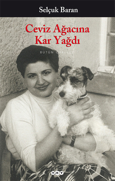 ceviz-agacina-kar-yagdi