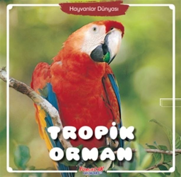 tropik-orman-hayvanlar-dunyasi