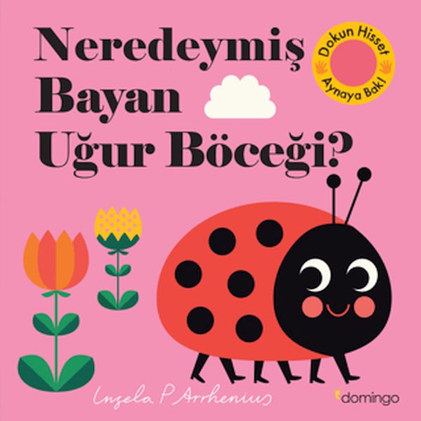 neredeymis-bayan-ugur-bocegi