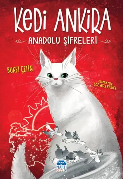 kedi-ankira-anadolu-sifreleri