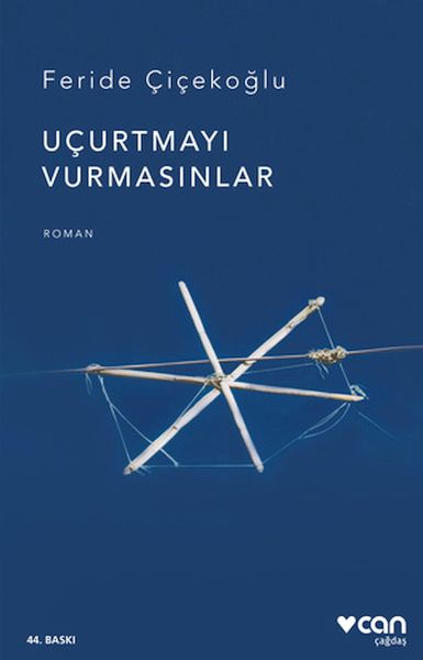 ucurtmayi-vurmasinlar