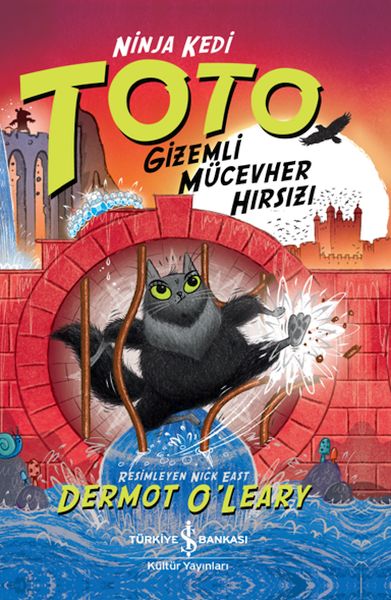 ninja-kedi-toto-gizemli-mucevher-hirsizi