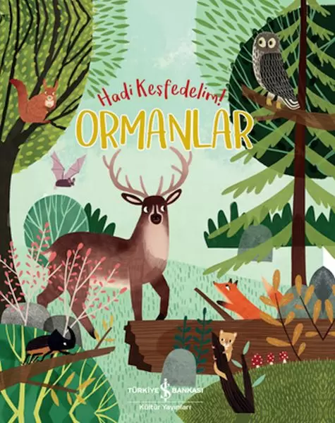 ormanlar-hadi-kesfedelim