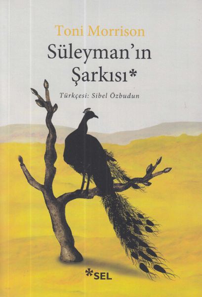 suleyman-in-sarkisi
