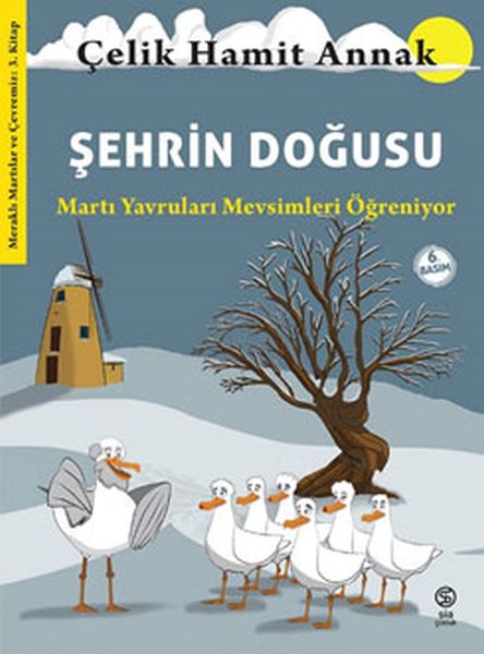 sehrin-dogusu-marti-yavrulari-mevsimleri-ogreniyor-merakli-martilar-ve-cevremiz-3-kitap