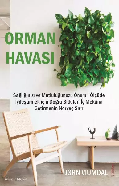 orman-havasi