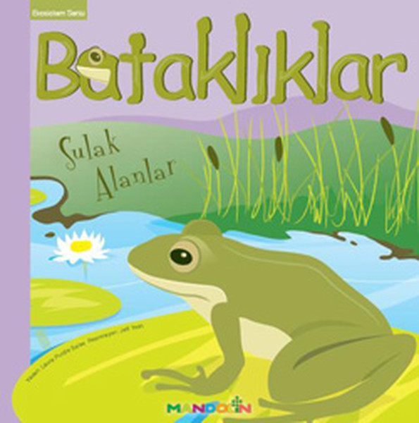 ekosistem-3-batakliklar-sulak-alanlar