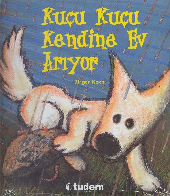 kucu-kucu-kendine-bir-ev-ariyor