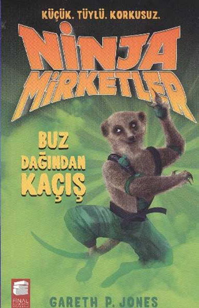 ninja-mirketler-3-buz-dagindan-kacis