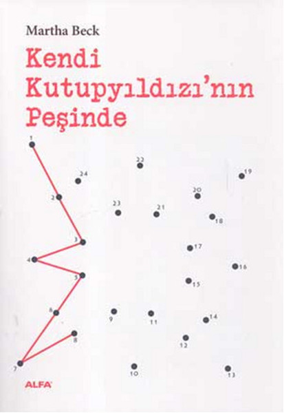 kendi-kutupyildizi-nin-pesinde