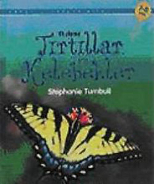 tirtillar-ve-kelebekler