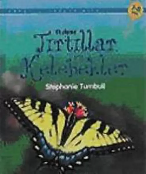 tirtillar-ve-kelebekler