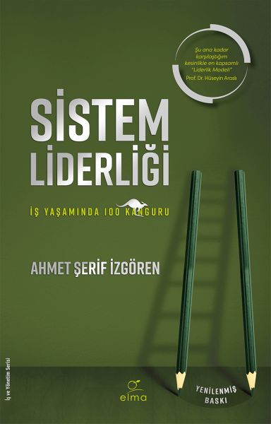 sistem-liderligi