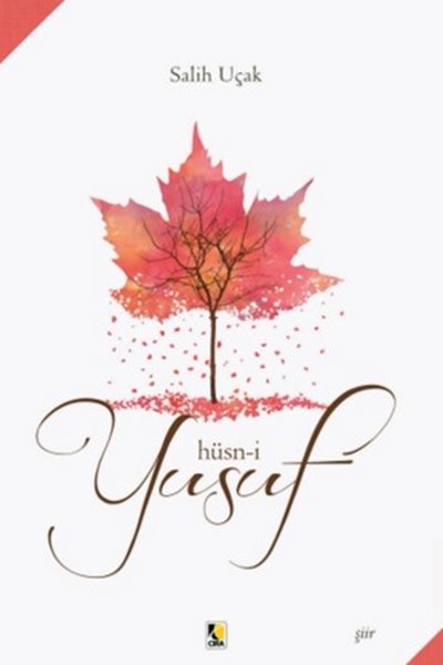 husn-i-yusuf