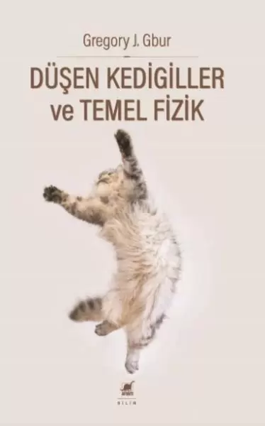 du-sen-kedigiller-ve-temel-fizik