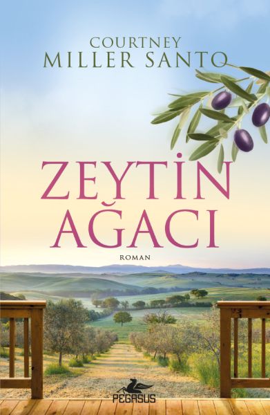 zeytin-agaci