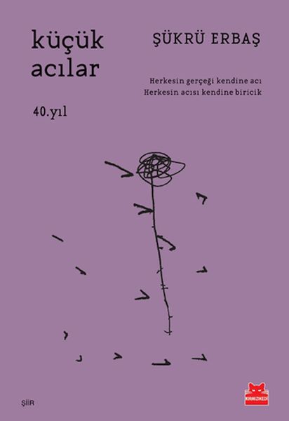 kucuk-acilar