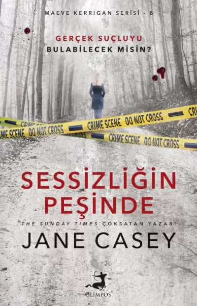 sessizligin-pesinde