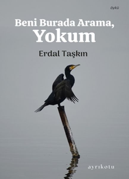 beni-burada-arama-yokum