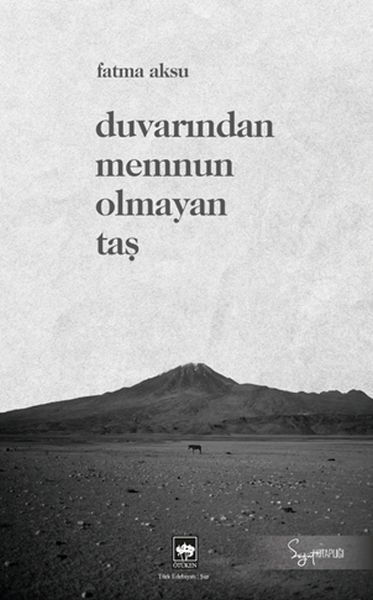 duvarindan-memnun-olmayan-tas