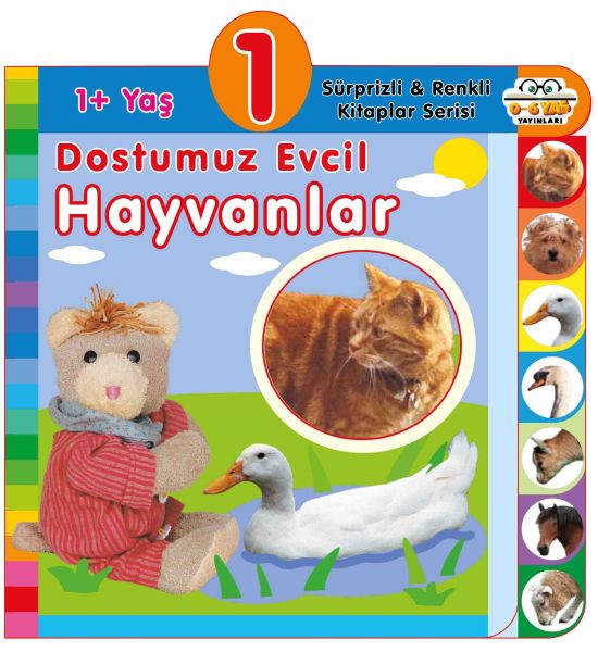 dostumuz-evcil-hayvanlar-1-yas