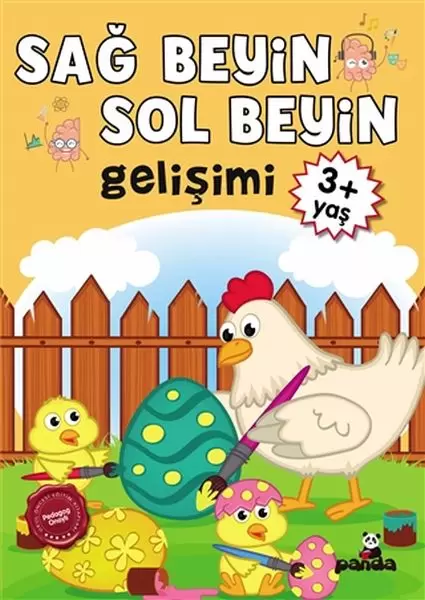 3-yas-sag-beyin-sol-beyin-gelisimi