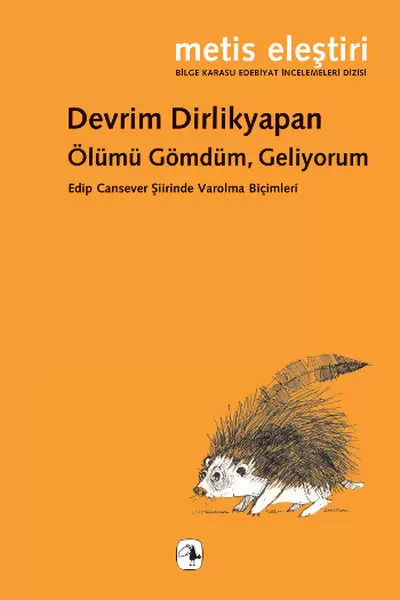 olumu-gomdum-geliyorum-edip-cansever-siirinde-varolma-bicimleri