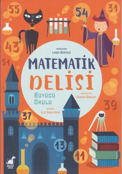 matematik-delisi-buyucu-okulu