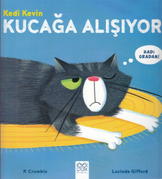 kedi-kevin-kucaga-alisiyor