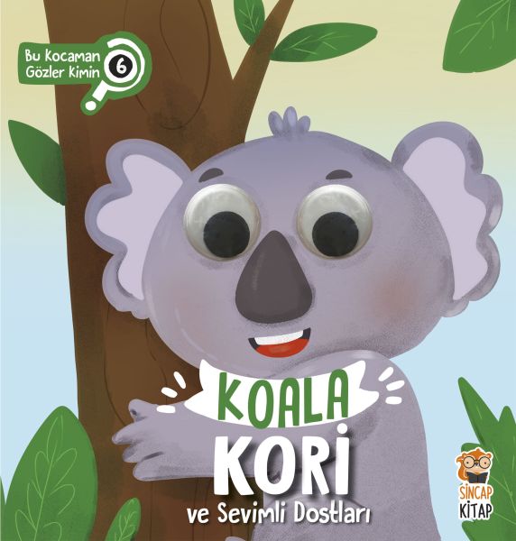 bu-kocaman-gozler-kimin-6-koala-kori-ve-sevimli-dostlari