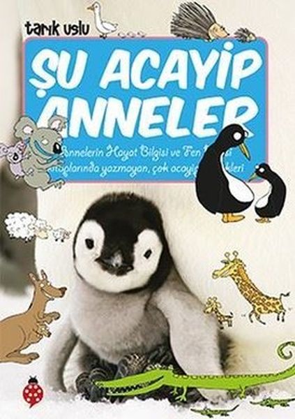 su-acayip-anneler