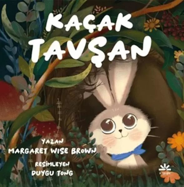 kacak-tavsan