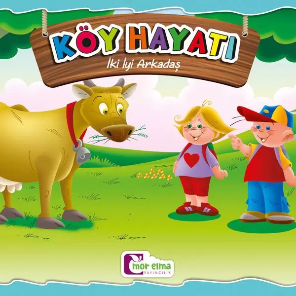 iki-iyi-arkadas-koy-hayati