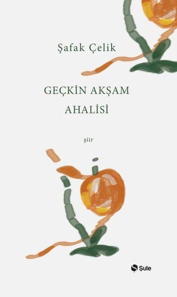 geckin-aksam-ahalisi