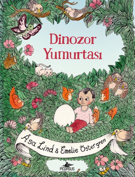 dinozor-yumurtasi-ciltli