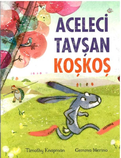 aceleci-tavsan-koskos