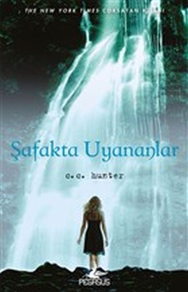 safakta-uyananlar-golge-selalesi-2-kitap