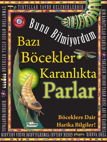 bazi-bocekler-karanlikta-parlar-bunu-bilmiyordum-boceklere-dair-harika-bilgiler