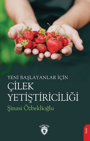 yeni-baslayanlar-icin-cilek-yetistiriciligi