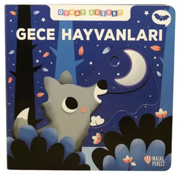 gece-hayvanlari-oynat-kesfet