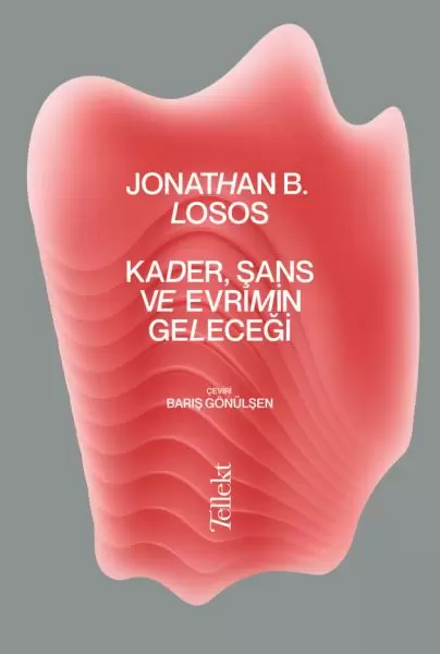 kader-sans-ve-evrimin-gelecegi
