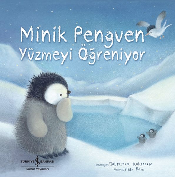 minik-penguen-yuzmeyi-ogreniyor