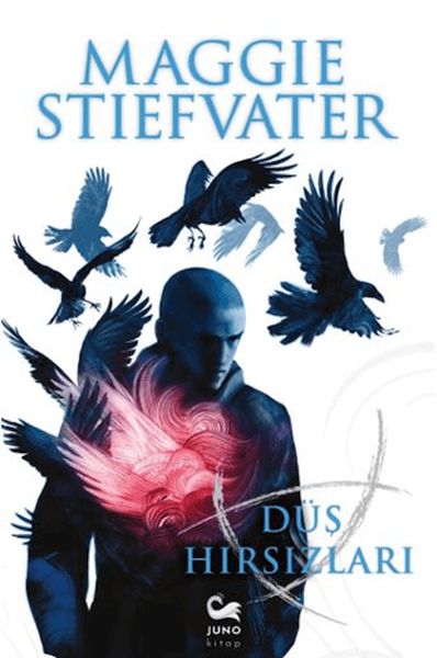 dus-hirsizlari