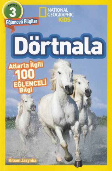 dortnala-atlarla-ilgili-10-eglenceli-bilgi-3-seviye