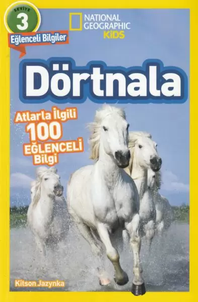 dortnala-atlarla-ilgili-10-eglenceli-bilgi-3-seviye