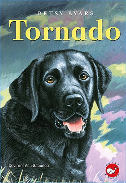 tornado