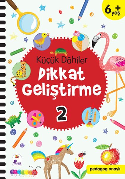 kucuk-dahiler-dikkat-gelistirme-2-6-yas-pedagog-onayli