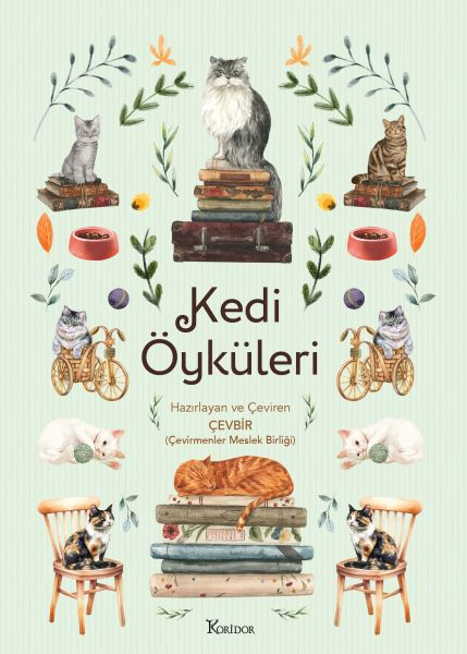 kedi-oykuleri-246433